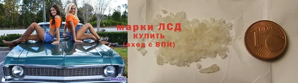 ГАЛЛЮЦИНОГЕННЫЕ ГРИБЫ Пестово