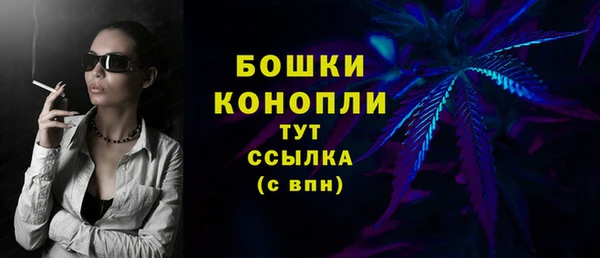 спайс Пересвет