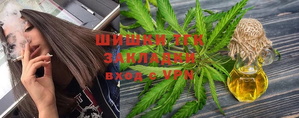 ГАЛЛЮЦИНОГЕННЫЕ ГРИБЫ Пестово