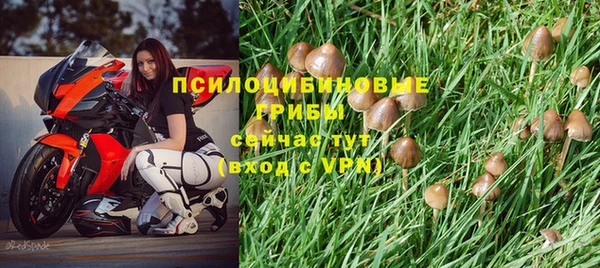 спайс Пересвет