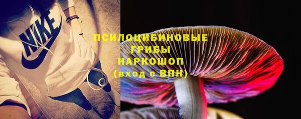 ГАЛЛЮЦИНОГЕННЫЕ ГРИБЫ Пестово
