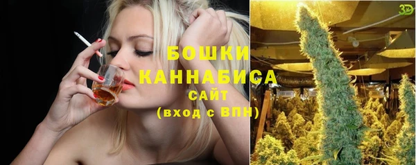 спайс Пересвет