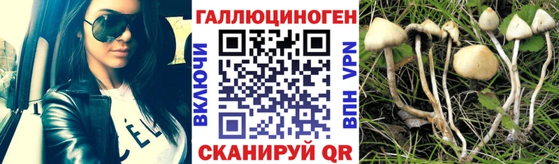 Галлюциногенные грибы мухоморы Костерёво