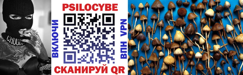 блэк спрут как зайти Костерёво Галлюциногенные грибы MAGIC MUSHROOMS
